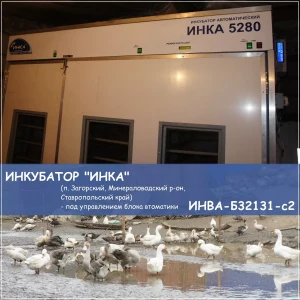 Блок ИНВА-Б32121-с2